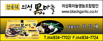 원용덕 의성마늘