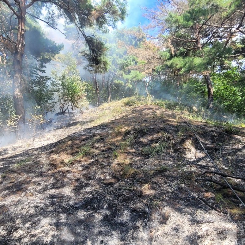 영천 청통면 야산에 산불 발생