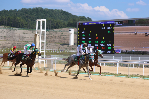 개장기념경주 경주마 모멘텀이 우승했다.